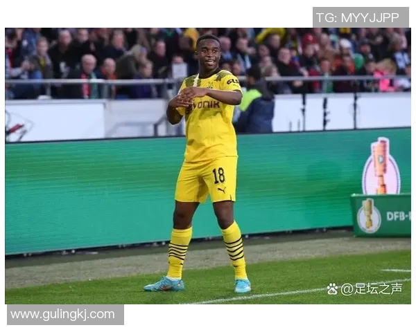 安徽足球十大球星排行榜 揭秘本土足球天才的崛起与成就